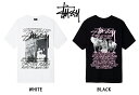 ステューシー STUSSY Tシャツ 半袖 両面プリント TRIBE OF STÜSSY TEE ホワイト , ブラック S , M , L , XL 【1904075】【新品】 新品 mellow USA企画 ストリート WHITE BLACK カットソー ショーンフォント 【あす楽対応】【古着 mellow楽天市場店】