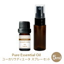 お値段見直し【スプレー セット】【5ml】ユーカリラディエータ 精油 アロマオイル 加湿器 精油 収納 昼用夜用 ブレンド アロマ アロマディフューザー アロマ加湿器 アロマキャンドル アロマストーン おしゃれ アロマランプ pb