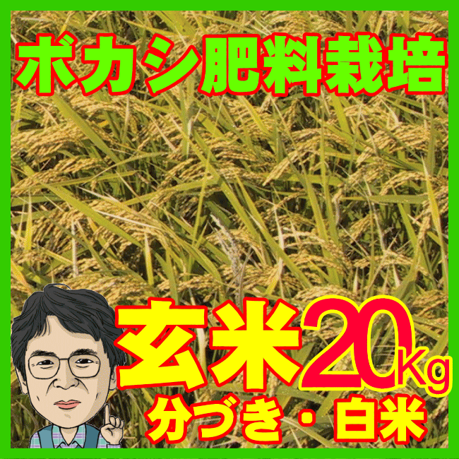 無農薬米20Kg