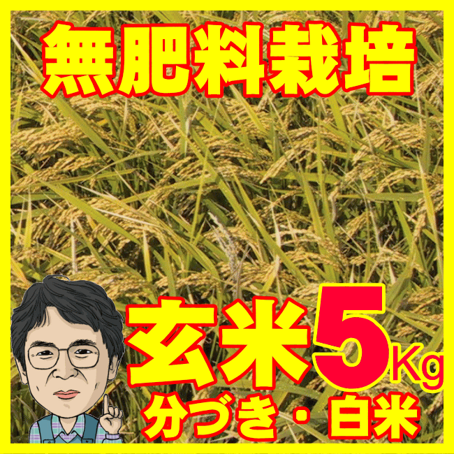 無肥料栽培米5Kg~...:fekubo:10000006