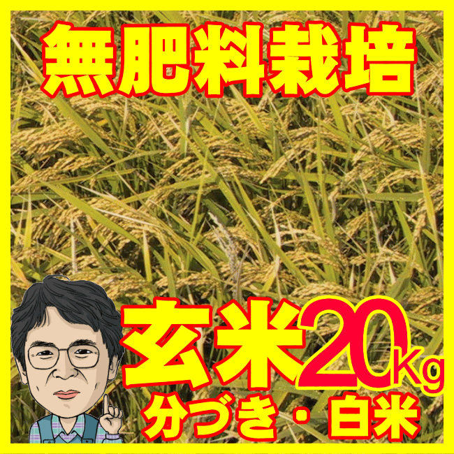 30Nȏ_w엿gpĂȂ}v۔_ł[엿]͔|20Kg Ő[̈SS_@I_sgp엿͔|20L