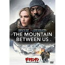 DVD / 洋画 / ザ・マウンテン 決死のサバイバル21日間
