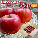 送料無料 今だけポイント20倍!訳ありサンふじ りんご 5k...