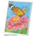 【 アーテック 】砂絵創作タイプA4メタリックフレーム ( '013682 / AC10241157 )【 アーテック 砂絵 キット 】【QBH33】