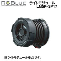 RGBlue アールジーブルー ライトモジュール　LM5K-SP17 　スポットビーム　SYSTEM01/02 対応アクセサリー 【送料無料】　メーカー在庫確認しますの画像