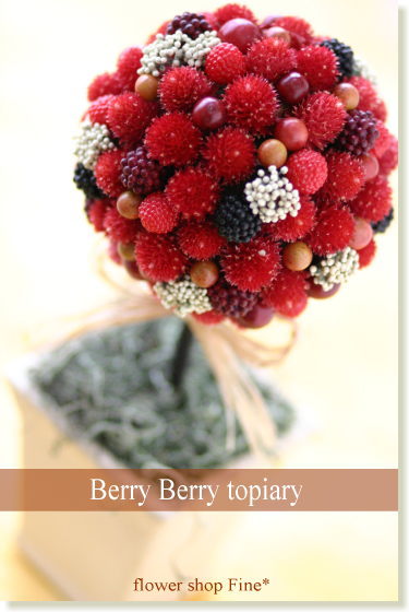 ܂۔gsA[͂HBerry Berry topiaryyGߌzyZ[ SALEza/j/oYj/JXj/j/LO/Vzj/j/hCt[//G߂̂j/t[/}/[Y