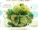 プリザの観葉植物？誕生日/結婚祝/出産祝/開店祝/内祝/新築祝いTV 雑誌 枯れないグリーンアレンジ☆　アーストーン