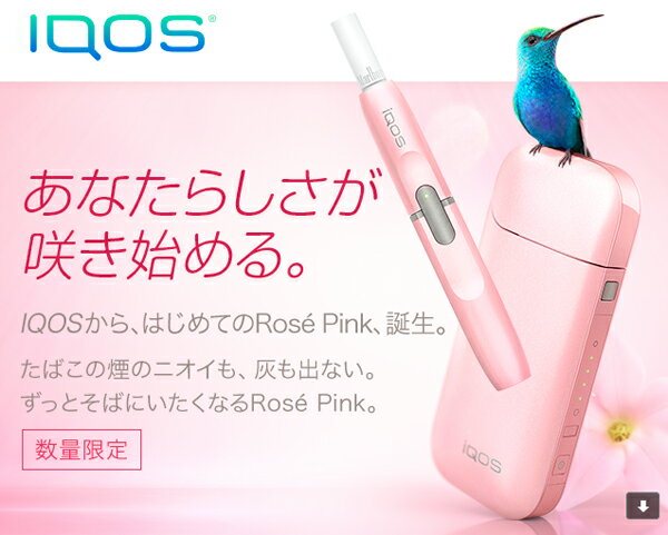 【在庫あり】【新品/正規品】iQOS 本体キット【限定色 ローズピンク Rose Pink…...:finebookpremiere:10002933