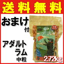 【最大350円OFFクーポン配布】おまけ付き♪ロータス アダルト ラムレシピ 中粒 2.72kg 賞味期限2018年2月1日【あす楽】【送料無料】(九州・北海道・沖縄離島は送料525円です)