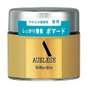 資生堂アウスレーゼ ブリランチンN ポマード 80g
