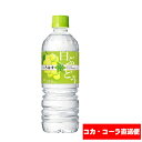【コカ・コーラ社直送便・2ケースまで購入可】 い・ろ・は・す 白ぶどう 555mlPET ×24本 ※コカコーラ社以外の同梱不可