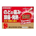 【薬王製薬】 漢元ハヤオキ カプセル 20カプセル