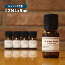 【送料無料/ゆうメール】 ベーシック12ML×5本セット[エ...