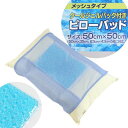【東京西川】クールジェルパック付きピローパッド(クールナイト・枕パッド)【節電・クールビズ対策・冷暖房アイテム】 【特価 】冷却ジェル【サマーグッズ】