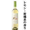 フレシネ ミーア 白 750ml(3)(スクリューキャップ)