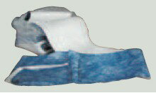 9kon εۼSPC 롦٥ȥ