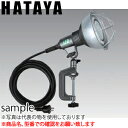ハタヤ 防雨型LED作業灯 広角タイプ RGL-5W LED投光器 【在庫有り】【あす楽】