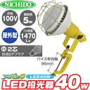 日動工業 LED灯光器 40W エコビック ATL-4005J-50K 屋外型 100V用 2芯防滴2Pプラグ コード5m