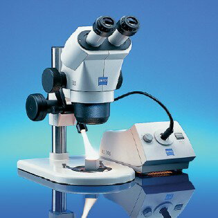 2009-02-24  ĥ θ Stemi 2000ܥå