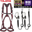 タジマ 安全帯ハーネス+ランヤード2本セット ZAM-LRE ハーネスZA Mサイズ ライン赤 + ランヤード ER150UL6×2本【在庫有り】【あす楽】
