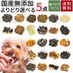 【累計7万袋突破】選べる5個セット | 送料無料 犬 おやつ 無添加 どっぐふーどる 国産 さつまいも ジャーキー 詰め合わせ ドッグフード 犬のおやつ ドックフード 犬おやつ 犬用 小分け オヤツ キャットフード 猫 犬のオヤツ ペットフード