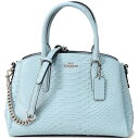 ショッピングアウトレット コーチ バッグ COACH スネーク エンボスレザー スムースレザー パイソン ミニ セージ 2WAY チェーン ショルダー ハンドバッグ シーフォーム 73126【新品 送料無料 正規 安心 保証 10倍 包装 即日発送】