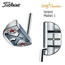 タイトリスト スコッティキャメロン 2016年 セレクト マレット 1 パター [TITLEIST SC