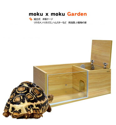 ゼンスイ　moku×moku Garden 　9045　モクモクガーデン　【取り寄せ商品】【水槽/熱帯魚/観賞魚/飼育】【生体】【通販/販売】【アクアリウム/あくありうむ】