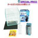 水槽　熱帯魚　▼水槽　熱帯魚　20cm水槽セット　オールガラスフィルター、ヒーター、アカヒレなど9点セット！【水槽セット】　【クーラーも今が買い！ネオス夏祭りセール！】