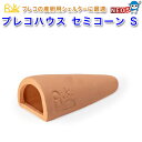 リキジャパン プレコハウスセミコーンS (約5.0x12cm) 【水槽/熱帯魚/観賞魚/飼育】【生体】【通販/販売】【アクアリウム】