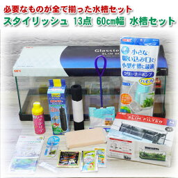 【水槽set】スーパーSET 13点 60cm 水槽セット ビギナーから経験者まで必要な用品が全部揃う【新着】【送料無料/飼育セット/水槽/熱帯魚/観賞魚/飼育/生体/通販/販売/アクアリウム/入門/初心者】