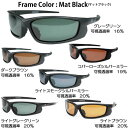 LSDデザインズ サーチ (フレームカラー:マットブラック) (偏光サングラス 偏光グラス)
