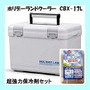 クーラーボックス 伸和 ホリデーランドクーラー CBX-17L ホワイト 超強力保冷剤セット