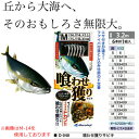 まるふじ 喰わせ獲りサビキ 6本ファイバ付 D-048 (タ...