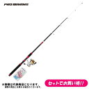 アジ釣りセット 仕掛け付 PGわくわくサビキ釣りセットDX 300 アジを釣ろう! 釣り竿セット プロマリン