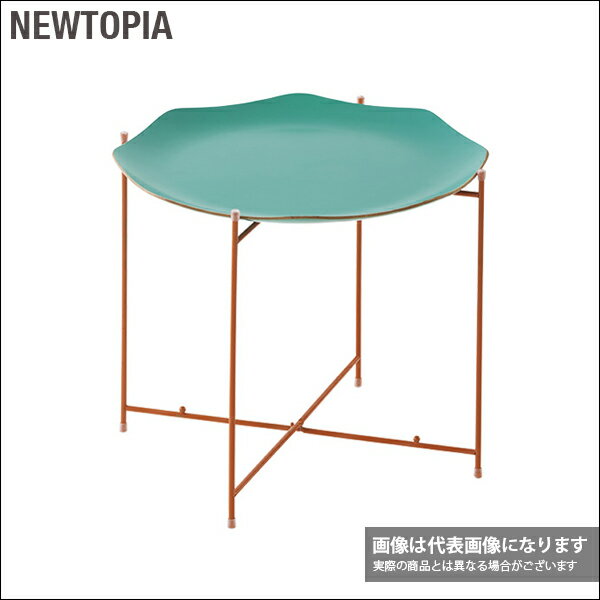 2WAYトレーテーブルオクタゴン BL NTP2074 ニュートピア テーブル キャンプ アウトドアの画像
