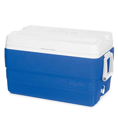 ȴ!顼IGLOOʥ롼˥쥸ȡLegend)40QT(38Lˡ̵