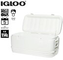 igloo(CO[/CO[)@N[[{bNX |[[ 120QT (114L)