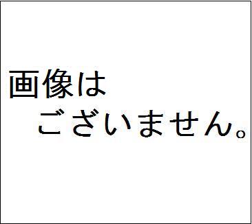 がまかつ がま鮎 ファインスペシャル2 RED 引抜早瀬90