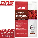 [DNS] プロテインホエイ100（1kg）