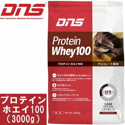 [DNS] プロテインホエイ100（3kg）/送料無料