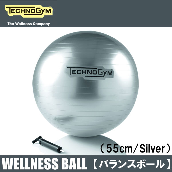 テクノジム バランスボール（55cm） WELLNESS BALL 【送料無料】 [Tec…...:fitnessclub:10025311