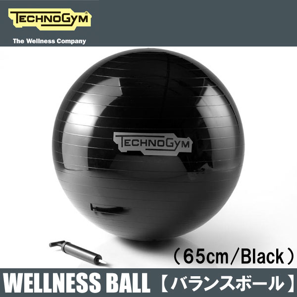 テクノジム バランスボール（65cm） WELLNESS BALL【送料無料】 [Tech…...:fitnessclub:10025312