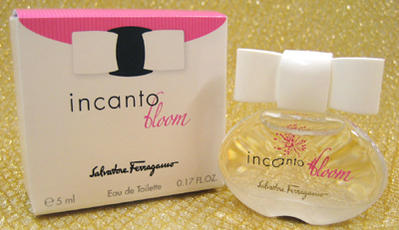 ڹ塦ե쥰󥹡ۢѤʥߥ˥ܥȥ뢡եե롼ƥιϥåסåפΥܥ󤬲İڥե饬ۥ󥫥 ֥롼ߥ˥ܥȥ