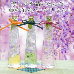 <strong>ハーバリウム</strong> <strong>桜</strong> 藤の花 母の日 早割 スイーツ ギフト プレゼント 選べる2本セット 3本セット 送料無料 退職 祝電 ハーバーリウム 人気 ドライフラワー プリザーブドフラワー 誕生日 結婚祝い 歓送迎会 <strong>桜</strong> LED あす楽 60代 女性