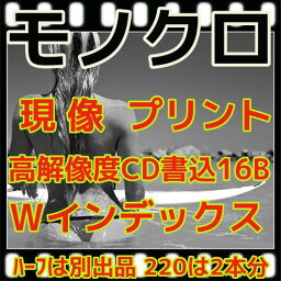 <strong>モノクロ</strong>　フィルム　現像　L版各1枚プリント　CD書込　高解像度16Bでデータ保存　インデックス　35ミリ・120共通料金　同時プリント（　220は2本分、ハーフは別　）