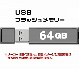 USB 2.0 tbVhCu 64GB@  Ώۏiv2܂OK 