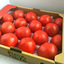 産地厳選 桃太郎トマト 大きさおまかせ 1箱12~28玉入約4kg
