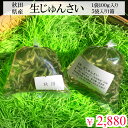 秋田県産”生じゅんさい”1袋100g入り”5袋入り1箱