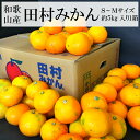 和歌山産”田村みかん”秀品S〜Mサイズ約5kg入り1箱